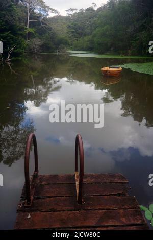 Hölzerner Steg und Teich mit Beiboot im Regenwald, Possum Valley, in der Nähe von Ravenshoe, Queensland, Australien Stockfoto