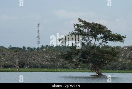 Wunderschöne Landschaftsaufnahmen in Sri Lanka Stockfoto