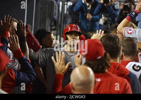 Los Angeles Angels Shohei Ohtani feiert mit Teamkollegen im Dugout, nachdem Matt Duffy am Mittwoch, den 15. Juni 2022, im neunten Inning im Dodger Stadium in Los Angeles auf einer Single den dritten Rang erreicht hatte. Foto von Jim Ruymen/UPI Stockfoto