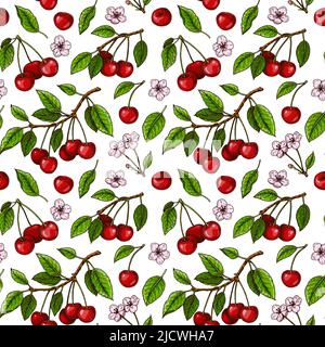 Handgezeichnetes buntes nahtloses Muster mit Kirschbeeren und Blumen. Vektorgrafik im farbigen Skizzenstil Stock Vektor