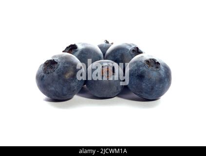 Frische Heidelbeeren isoliert auf weißem Hintergrund. Hochwertige Fotos Stockfoto