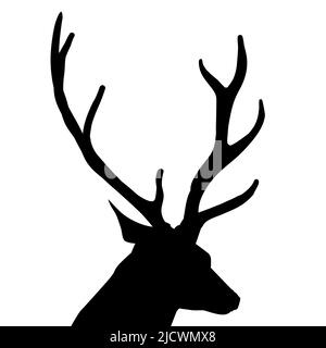 Eine Vektordarstellung einer Silhouette eines Hirsches. Du siehst das Tier von hinten und es schaut dich nach hinten an. Es ist ein männlicher Hirsch mit Geweih Stock Vektor