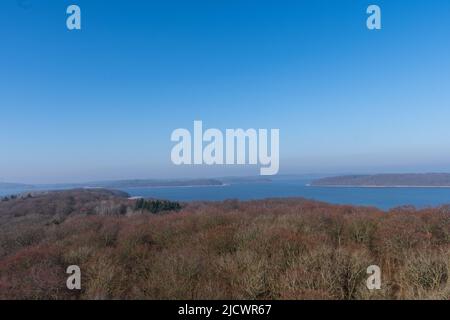 Blick vom Baumkronendepot auf Rügen auf den Jasmumder Bodden Stockfoto