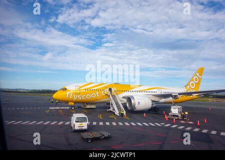 Coolangatta - Australien - 13 2022. Juni; Flyscoot-Flugzeug in hellgelb am Flughafen, während der Passagier an Bord ist Stockfoto