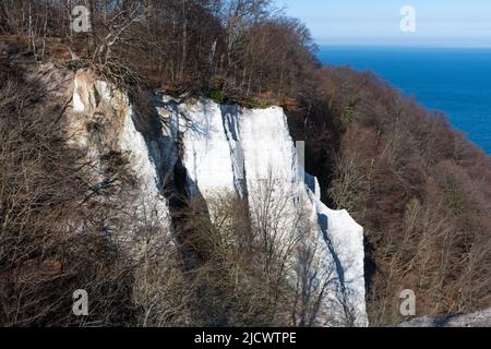 Rügen, Blick auf die Kreidefelsen Stockfoto