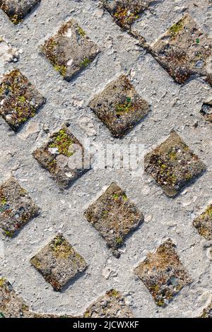 Hintergrund aus dem Weg von den alten Steinfliesen in Form eines Rhombus mit Erde bestreut und mit Vegetation überwuchert Stockfoto