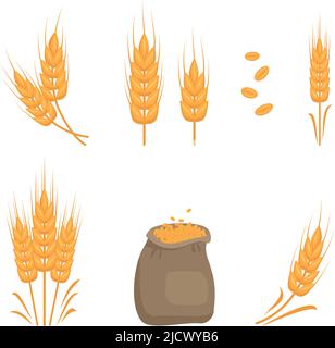Set aus goldenem Ähren aus Weizen, Körnern für die Herstellung von Mehl, Brot und anderen Lebensmitteln und Beutel mit Samen. Vektorgrafik flach Stock Vektor