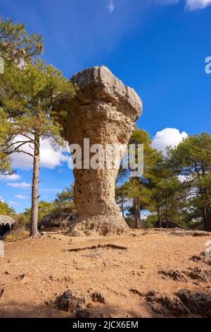 Ciudad Encantada, Cuenca, Castilla y La Mancha, Spanien, Europa Stockfoto