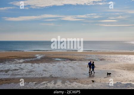 Paar Wanderhund am North Bay Beach, Scarborough, Yorkshire, England, Vereinigtes Königreich, Europa Stockfoto