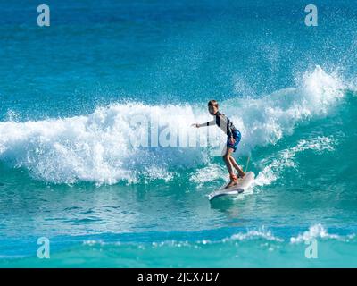Surfer auf einer Welle am Ningaloo Reef, Westaustralien, Australien, Pazifik Stockfoto