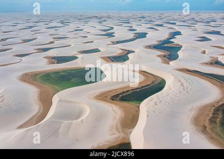 Luftaufnahme von Süßwasserseen zwischen riesigen Sanddünen im Lencois Maranhenses Nationalpark, Maranhao, Brasilien, Südamerika Stockfoto