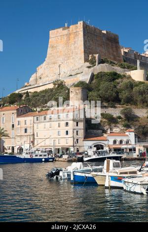 Blick über den Hafen auf die historische Zitadelle, die Bastion de l'Etendard prominent, Bonifacio, Corse-du-Sud, Korsika, Frankreich, Mittelmeer, Europa Stockfoto