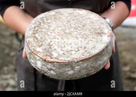 Traditioneller französischer Käse, Tomme de Savoie, Bergkäse, Haute-Savoie, Frankreich, Europa Stockfoto