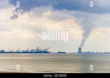 Antwerpener Hafen von der Schelde aus gesehen Stockfoto