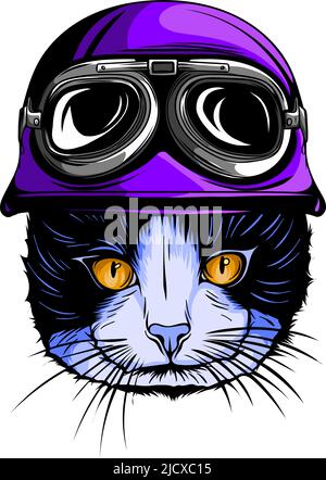 Porträt einer Katze mit Vintage-Helm. Vektorgrafik Stock Vektor