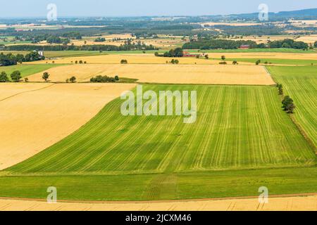 Im Spätsommer Blick auf die Landschaft über die Felder Stockfoto