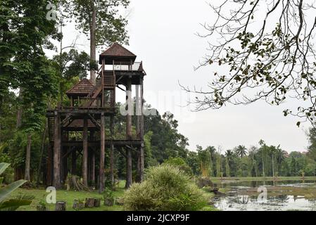 Hölzerner Aussichtsturm im Botanischen Garten Stockfoto