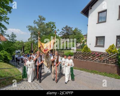 Die Teilnehmer der Prozession tragen einen Baldachin über dem Priester. Katholiken des Dorfes Garham machen eine Prozession zu Ehren der Feier des Leibes und Blutes Jesu Christi. Stockfoto