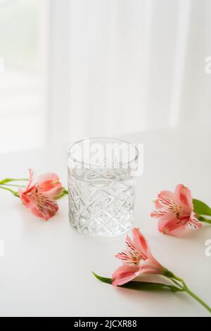 Transparentes Glas mit frischem Wasser in der Nähe von rosa Alstroemeria Blumen auf weißem Hintergrund mit Kopierraum Stockfoto