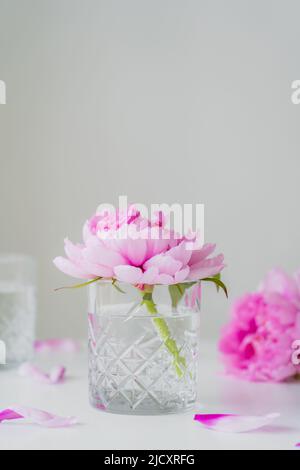 Rosa Pfingstrose aus facettiertem Glas mit reinem Wasser auf weißer Oberfläche isoliert auf grau Stockfoto