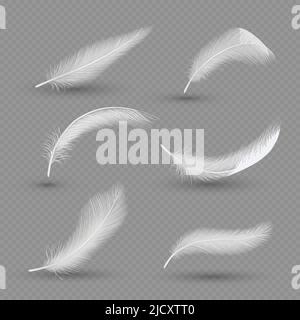 White Birds Feather Icon Set, Vektor-realistische Illustration Stock Vektor