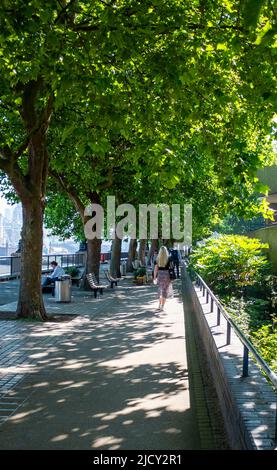 London UK 16. June 2022 - Besucher versuchen, im Schatten der Southbank in London zu bleiben, da die Hitzewelle in den nächsten Tagen anhalten wird: Credit Simon Dack / Alamy Live News Stockfoto