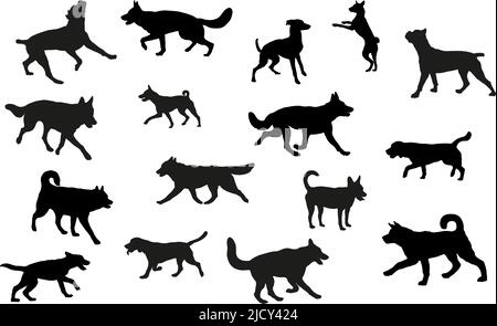 Gruppe von Hunden verschiedenen Rassen. Schwarze Hundehüsse. Laufen, Stehen, Gehen, springende Hunde. Isoliert auf weißem Hintergrund. Haustiere. Vektor . Stock Vektor