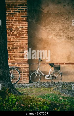 Fahrräder lehnen sich unter einem großen Baum an die Wand. Stockfoto