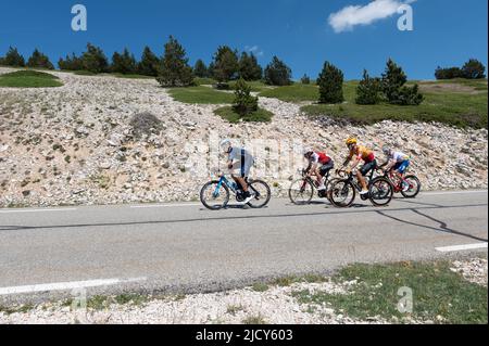 (Von L bis R) Carlo Verona (Movistar-Team), Guillaume Martin (Cofidis-Team) Tobias Halland Johannessen (Uno-x-Profi-Radsportteam) und Cristián Rodriguez (TotalEnergies-Team) in Aktion während der drei Kilometer vor dem Ziel. Die Ausgabe 4. der CIC - Mont Ventoux Dénivelé Challenges ist Teil des Veranstaltungskalenders der UCI Europe Tour 2022 in der Kategorie 1,1. Ausgehend von Vaison la Romaine beträgt die zu überdeckende Strecke 154 Kilometer mit einer doppelten Besteigung des Mont Ventoux mit einem Gipfelerfolg. Ruben Guerreiro (EF-Education EasyPost) gewann die Mont Ventoux Dénivelé-Herausforderungen im Alleingang Stockfoto