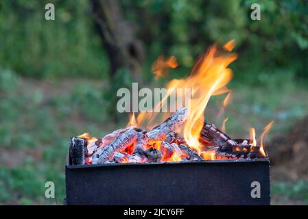 Schwelende Glut eines Lagerfeuers auf dem Grill vor dem Hintergrund von grünem Gras im Hof Stockfoto