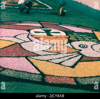 ALFOMBRA DE FLORES PARA EL DIA DEL CORPUS. Lage: AUSSEN. LA OROTAVA. TENERIFFA. SPANIEN. Stockfoto