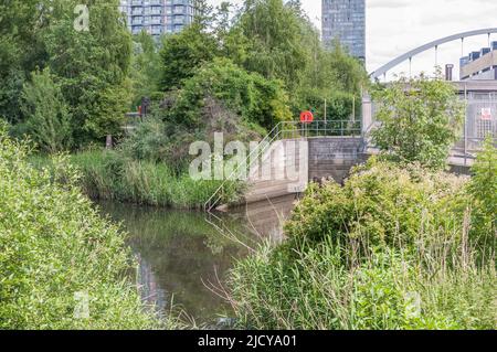 Ein Blick auf die üppigen Feuchtgebiete Spaziergang im Olympic Park Stockfoto