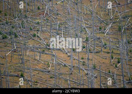 Yellowstone Nationalpark, Wyoming Stockfoto