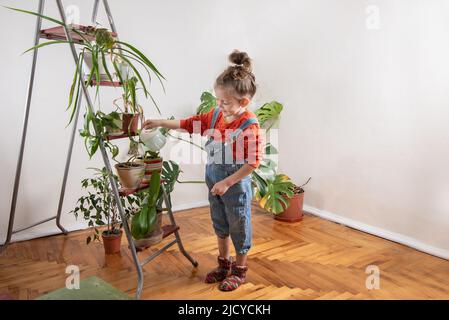 Kind in Denim-Overalls, das aus einer Gießkannen wässert, pflanzt im Gewächshaus. Kleines Mädchen kümmert sich um Grünpflanzen im Zimmer. Gartenarbeit im Haus Stockfoto