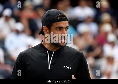 16.. Juni 2022; Queens Club, West Kensington, London, England; Cinch Queens Club ATP Tour 500 Series Lawn Tennis Turnier; Matteo Berrettini (ITA) schreit seinen Trainern entgegen Stockfoto