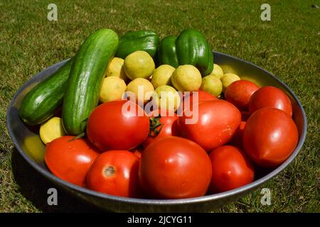 Frisch zupftes Gemüse für den täglichen Gebrauch in der indisch-asiatischen Küche wie Tomaten, Paprika, Gurken und Zitronen Seitenansicht für die Zubereitung von curry Stockfoto