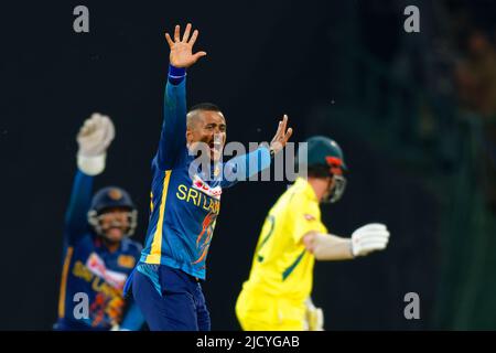 Kandy, Sri Lanka. 16.. Juni 2022. Sri Lankas Jeffrey Vandersay appelliert am 16.. Juni 2022 beim ODI-Cricket-Spiel 2. zwischen Sri Lanka und Australien im Pallekele International Cricket Stadium in Kandy erfolglos. Viraj Kothalwala/Alamy Live News Stockfoto