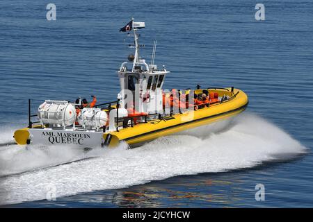 WALBEOBACHTUNG AM ST. LAWRENCE RIVER. Stockfoto