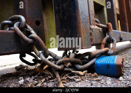 Blaues Vorhängeschloss und Kette an einem rostigen Tor Stockfoto