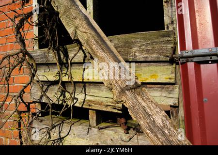 Die Metalltür wurde mit einem Bolzen und heruntergefallenen Holzbrettern und einer Ziegelwand im Hintergrund geschlossen Stockfoto