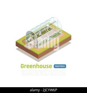 Moderne Gewächshaus intelligente hydroponische planten Grow Trays Technologie mit eingebettetem Klimasystem Outdoor isometrische Ansicht Illustration Stock Vektor