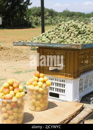 Frischer Obststand am Straßenrand Stockfoto