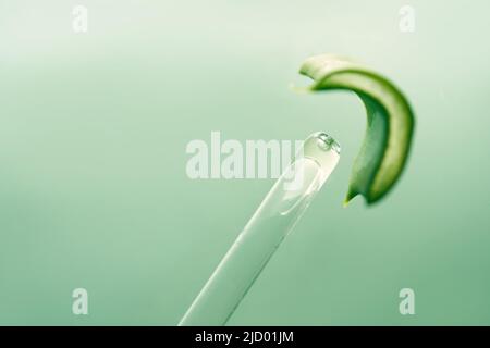 Kosmetikpipette mit Aloe-Saft aus der Nähe und einem Stück Aloe. Makrofotografie einer transparenten Glaspipette. Schönheitskonzept, Aromatherapie-Öl, Medizin. Hochwertige Fotos Stockfoto