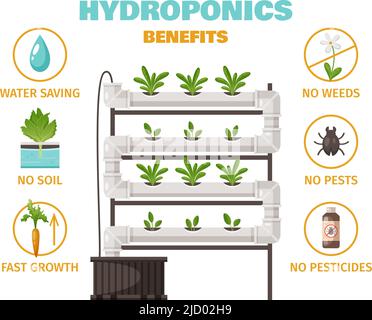 Hydroponics Vorteile Konzept mit Wasser sparen und schnelles Wachstum Symbole Cartoon-Vektor-Illustration Stock Vektor