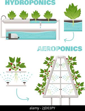 Hydroponik und Aeroponik Konzept mit Bewässerung und schnelles Wachstum Symbole Cartoon-Vektor-Illustration Stock Vektor