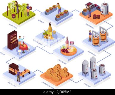 Flussdiagramm zur Weinproduktion mit Symbolen für Pressung und Gärung isometrische Vektordarstellung Stock Vektor