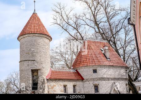 Draufsicht auf die Altstadt - der älteste Teil von Tallinn in Estland mit orangefarbenen Ziegeldächern und antiken Gebäuden Stockfoto