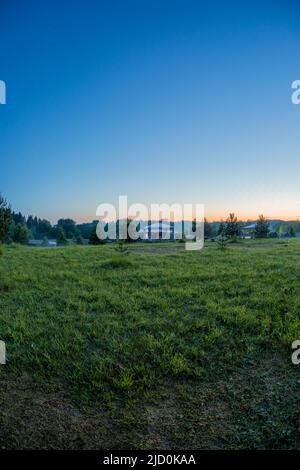 Vertikales Nachtfoto eines schönen Feldes Stockfoto