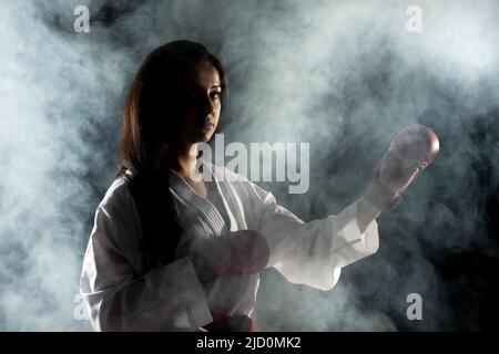 Schönes Mädchen Ausübung Karate Pose vor Nebel Hintergrund Stockfoto