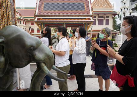 Bangkok, Thailand, 16. februar 2022: Während eines Festes stehen sich Menschen an, um in einem Busidsta-Tempel zu beten Stockfoto